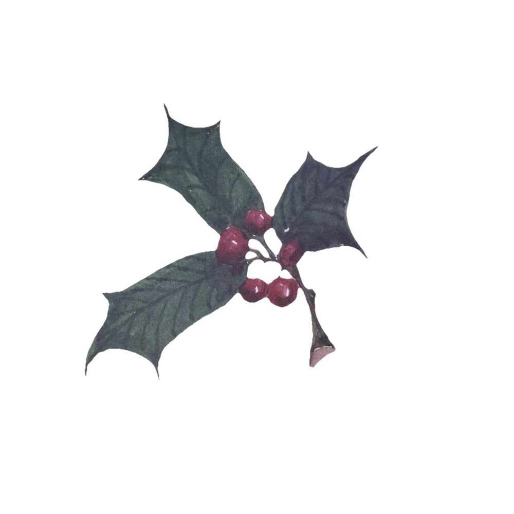 OddBalls Christmas Note Cards Holly Sprig 3.5 x 4.75 Folded (10 Count)